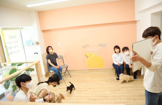 犬の保育園HOTで生後５ヶ月以内の子犬さんを対象に、ドッグトレーナーによるパピー教室を開催。