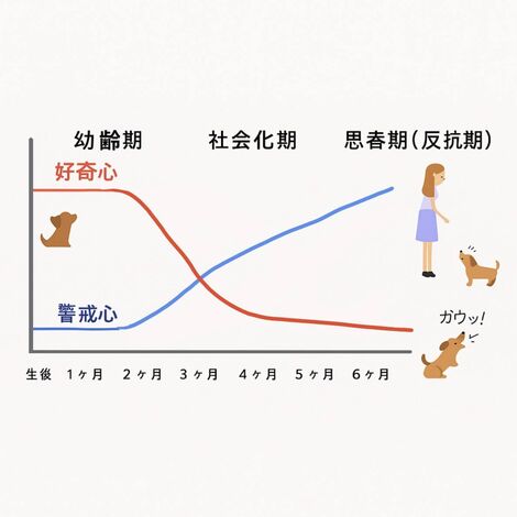 line_oa_chat_250919_125156